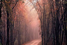 毕巴主帅：我们利用了人数优势，尼科-威廉姆斯展现出个性和决心.