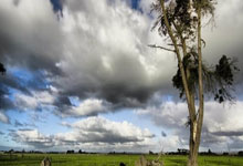 欧国联半决赛德国将对阵葡萄牙，两队近次交手德国全胜.