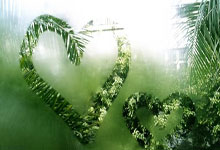 “奥运会新增棒球／垒球项目，备受传统项目粉丝期待”.