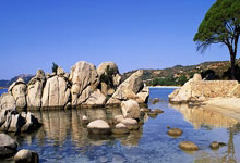 NBA：杜兰特21分东契奇33+11 太阳96-107湖人.